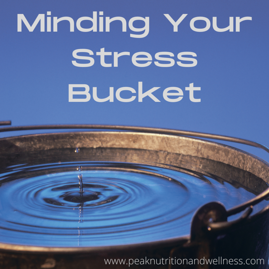 Minding Your Stress Bucket
