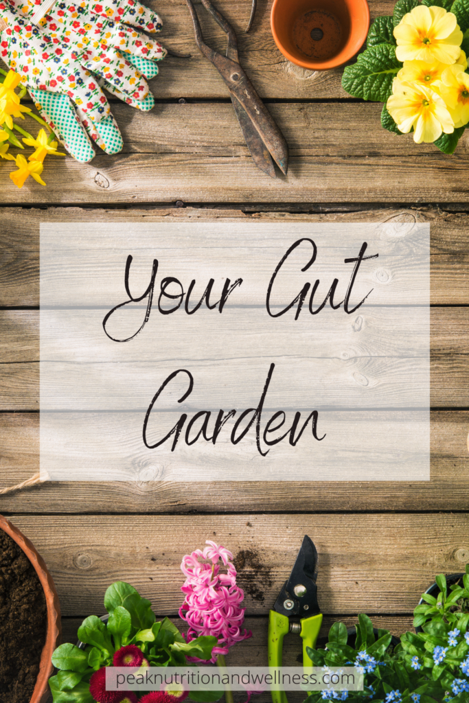 Your Gut Garden